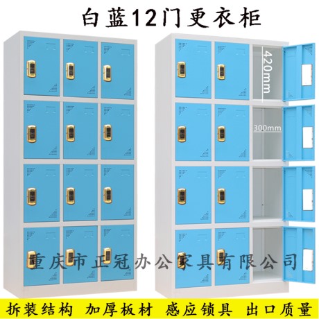 彩色加厚12門(mén)儲(chǔ)物柜更衣柜廠家
